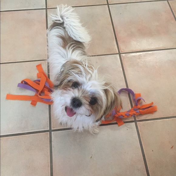 Meet your Posher, Brenda - Picture 3 of 4